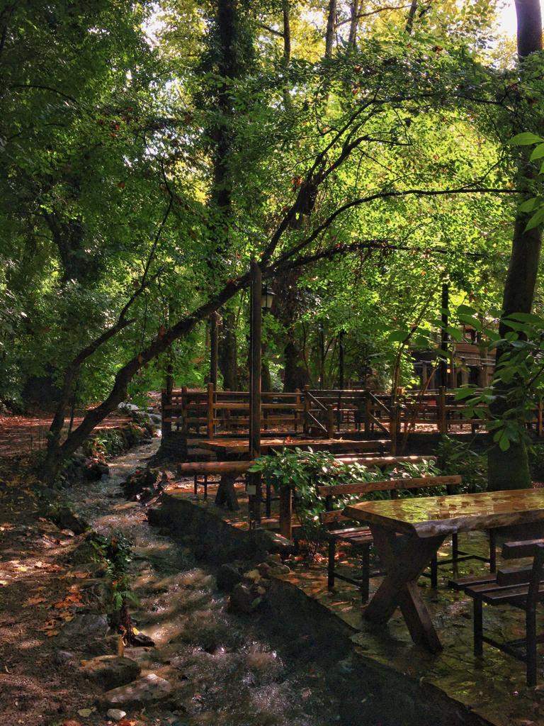 Maşukiye