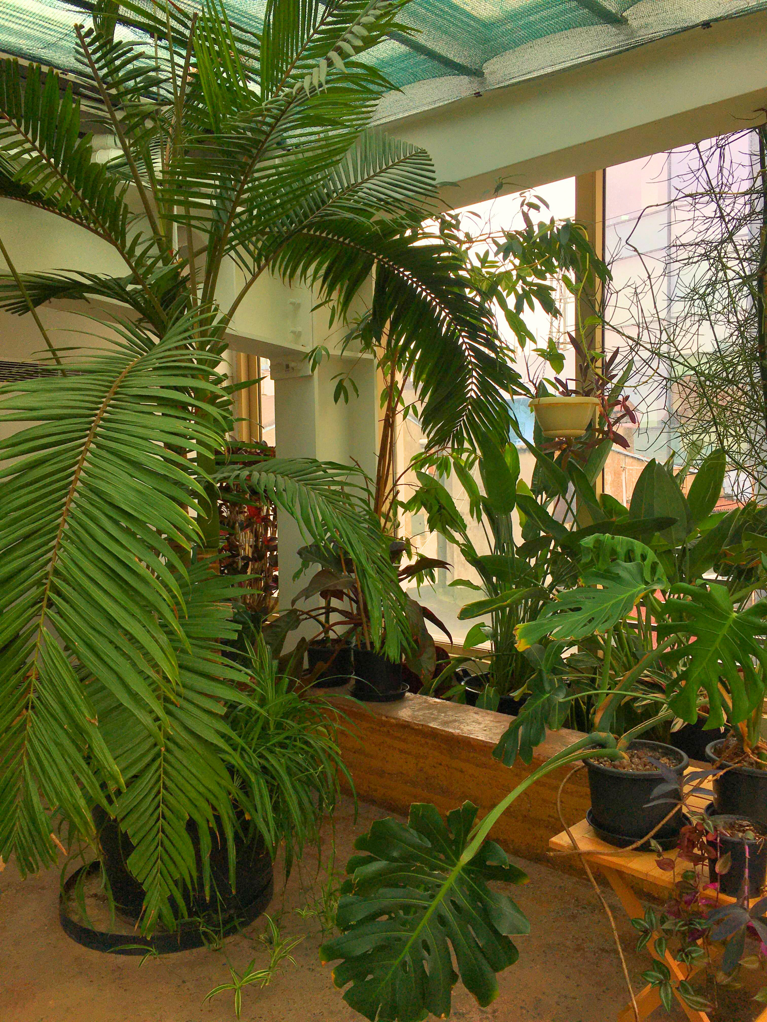 Salt Beyoğlu Kış Bahçesi