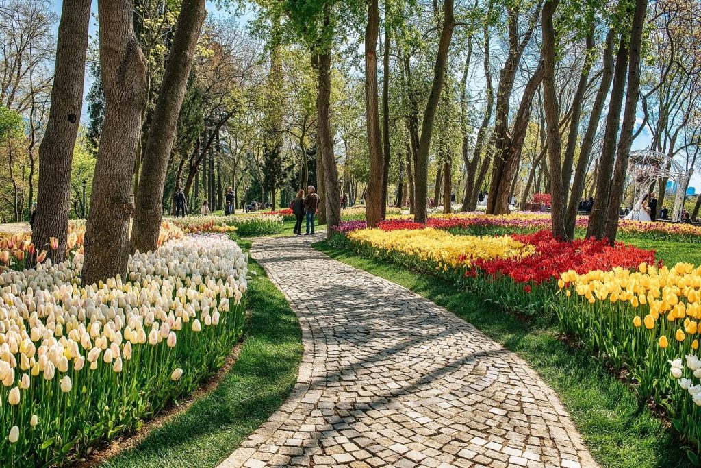Sarıyer Emirgan Korusu
