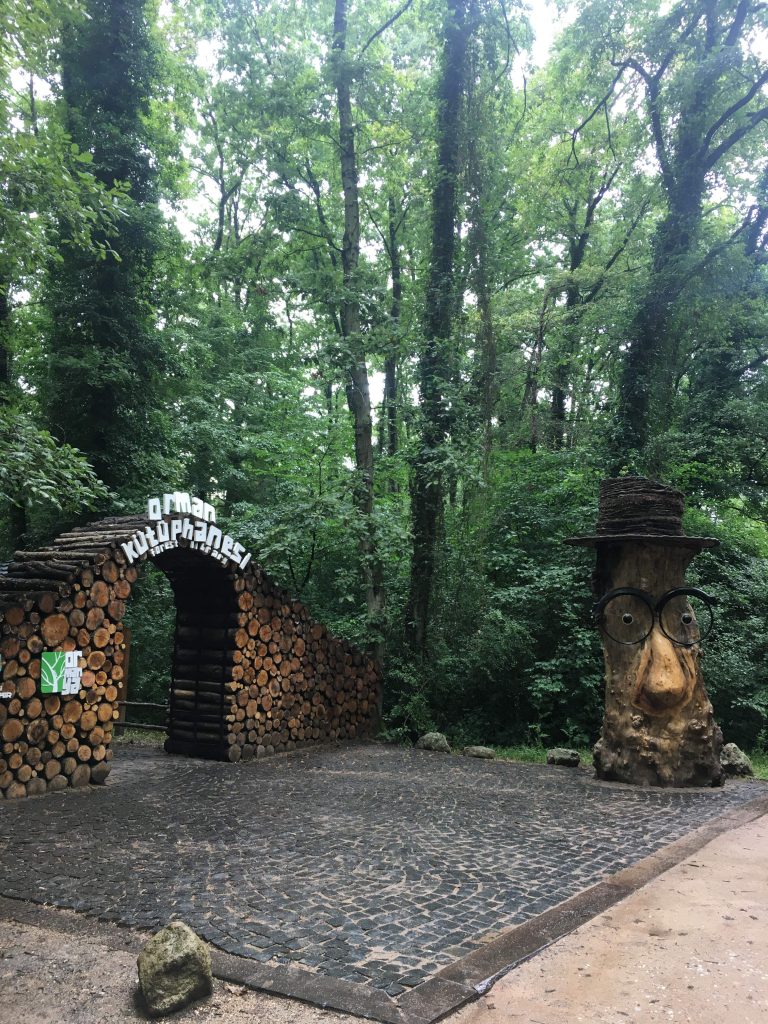 Ormanya Yaşam Alanı Kütüphane