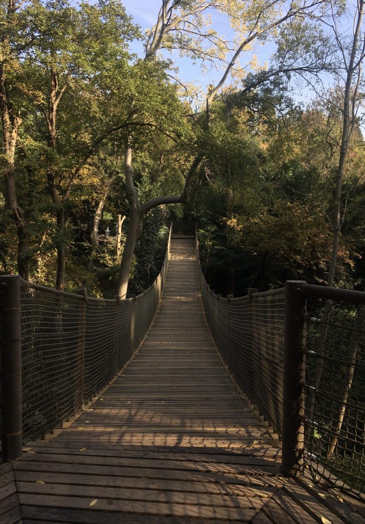 Yıldız parkı korusu