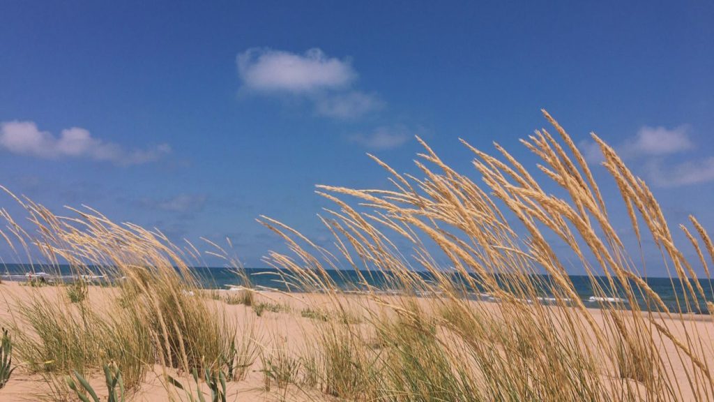 İstanbul'da Temiz Plajlar