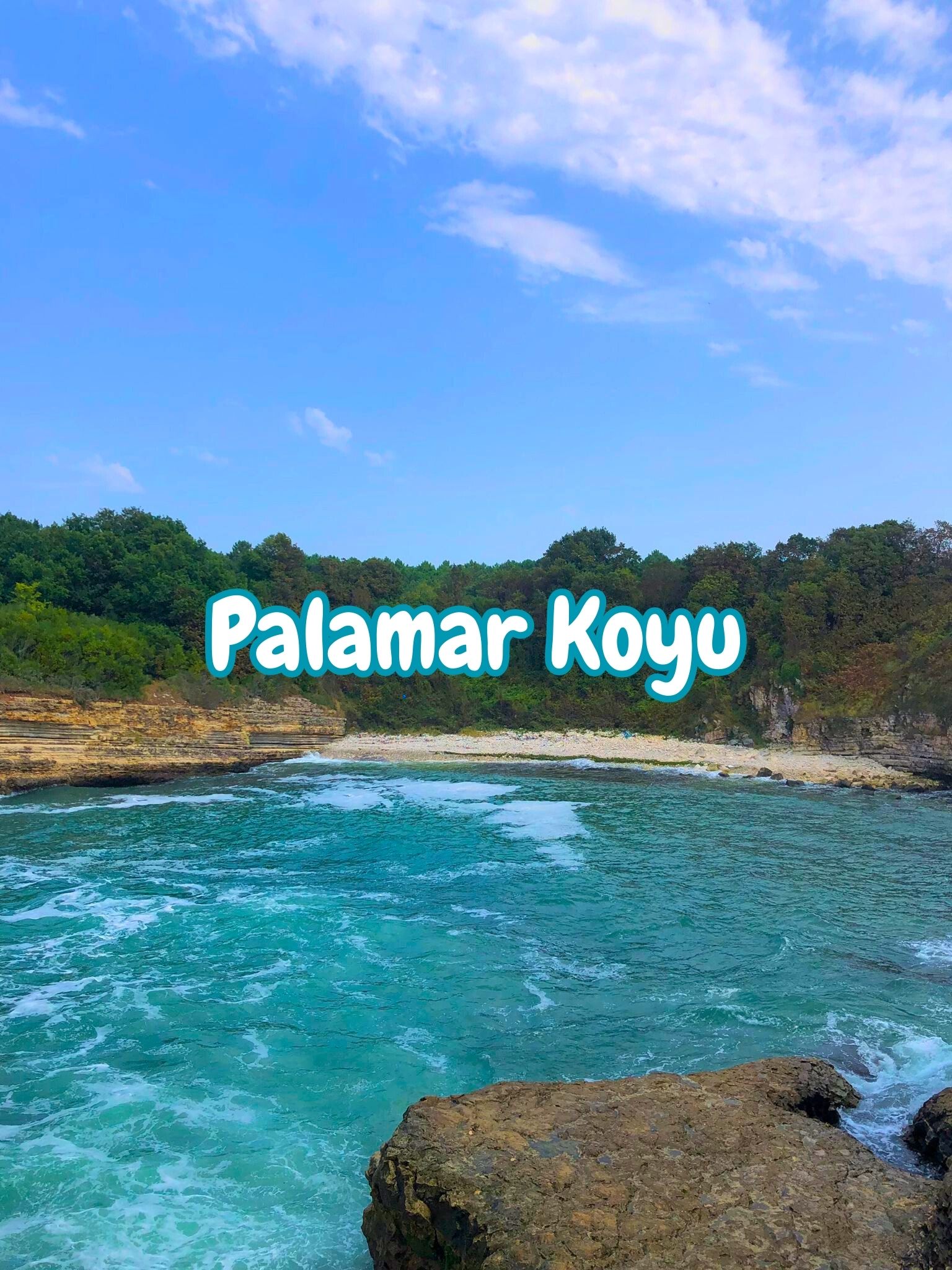 Palamar Koyu