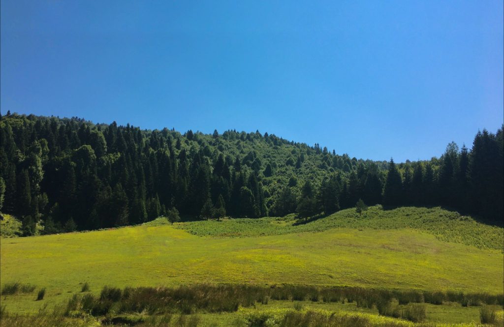 İnönü Yaylası Kocaeli