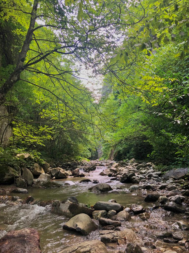 Serindere Kanyonu Kocaeli