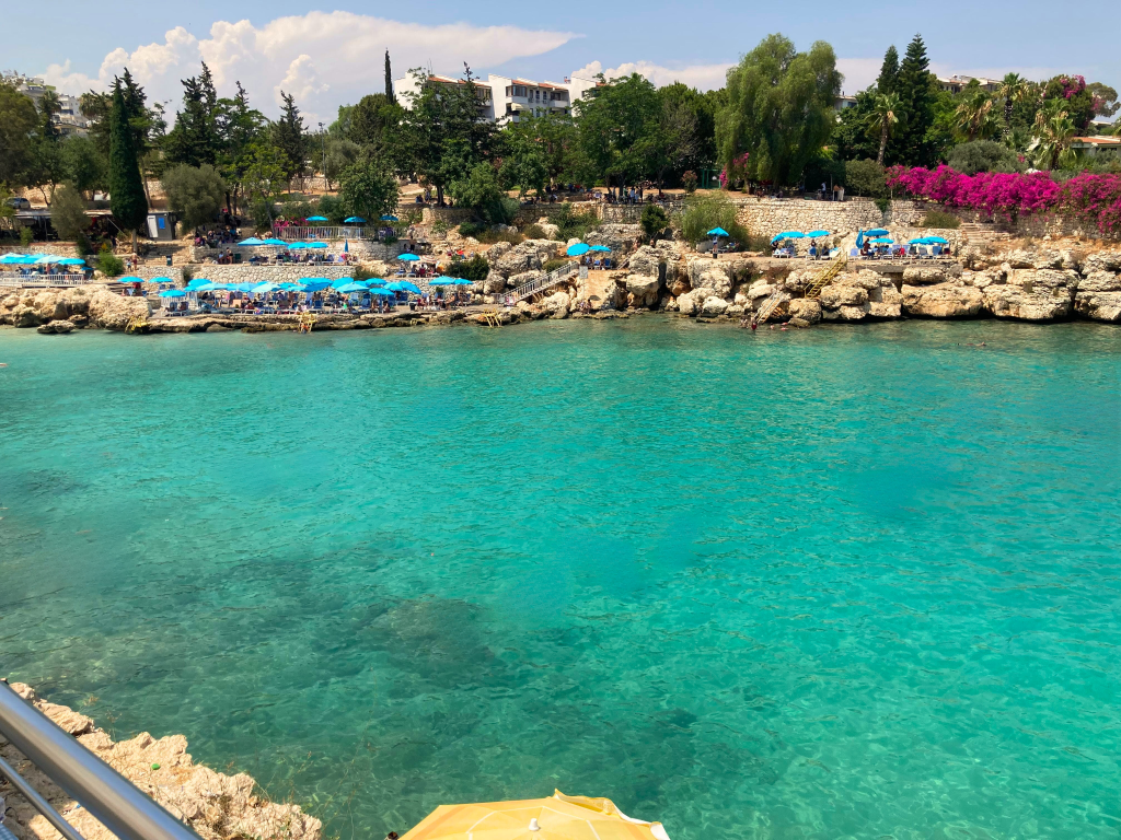 Yapraklı Koyu Mersin