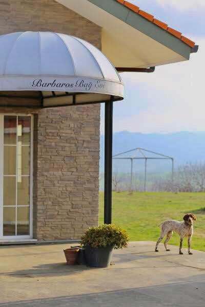 İstanbul'a yakın kaçış yerleri