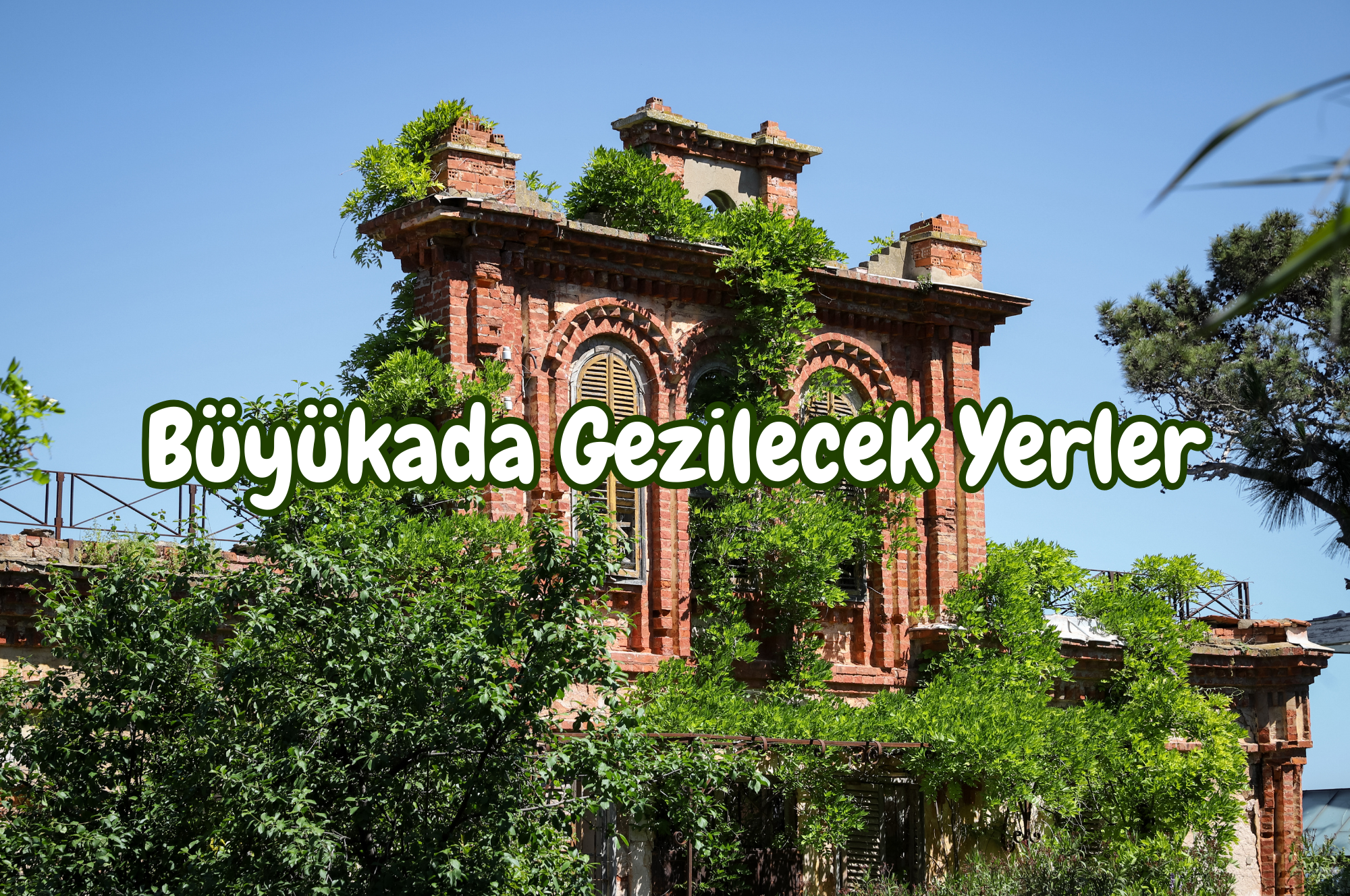 Büyükada Gezilecek Yerler Gezgin Penguen