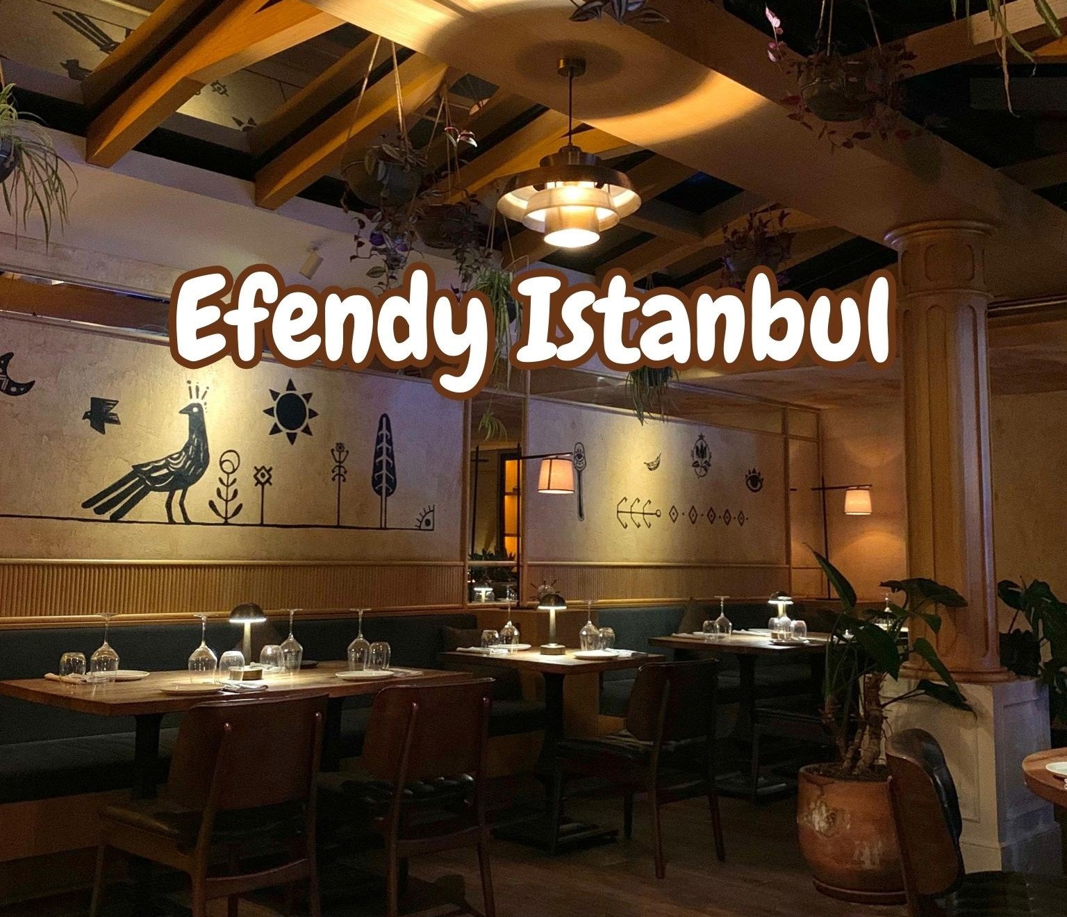 Somer Şef Efendy