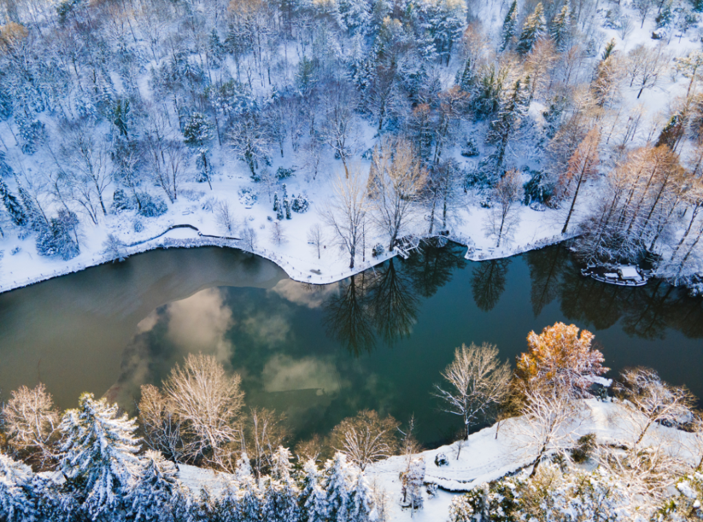 Atatürk Arboretumu Nasıl Gidilir
